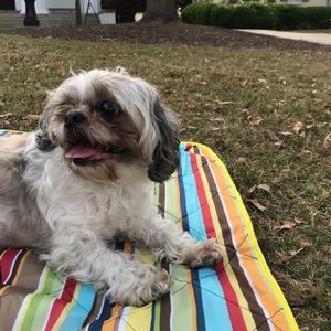 Meet your Posher, Rizan